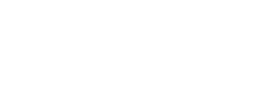 Ninel Studio logotipas